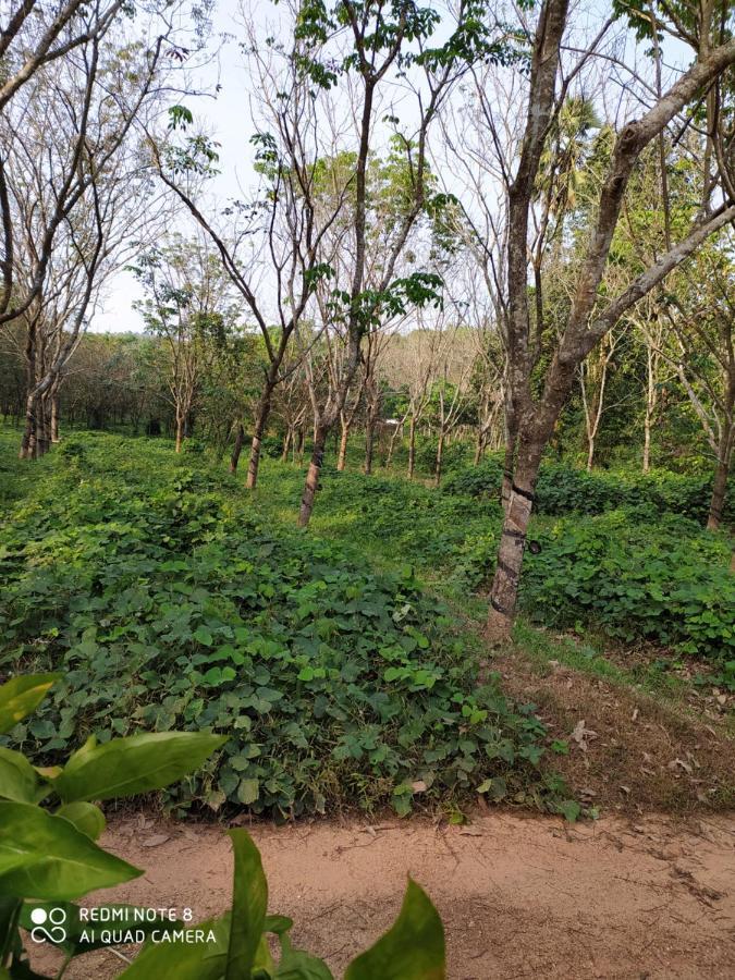 Vanasiri Cottage Dharmastala Экстерьер фото